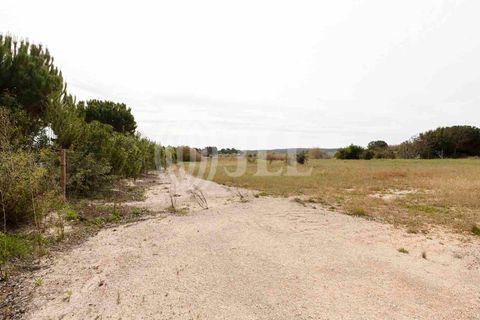 Grond in Comporta, Setubal, Comporta - € 3.200.000 | Ref: 71070 - foto 14