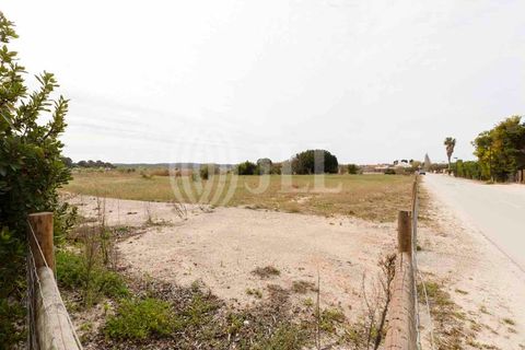 Grond in Comporta, Setubal, Comporta - € 3.200.000 | Ref: 71070 - foto 15