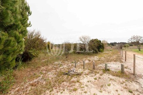 Grond in Comporta, Setubal, Comporta - € 3.200.000 | Ref: 71070 - foto 16