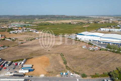 Helårsgrund i Alenquer, Lisbon, Alenquer - € 3.250.000 | Ref: 70137 - foto 4