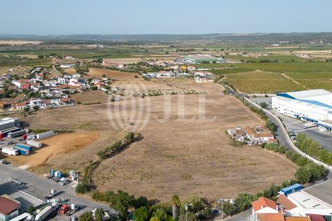 Helårsgrund i Alenquer, Lisbon, Alenquer - € 3.250.000 | Ref: 70137 - foto 5