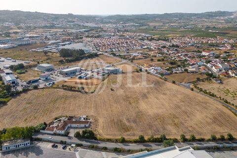 Helårsgrund i Alenquer, Lisbon, Alenquer - € 3.250.000 | Ref: 70137 - foto 7