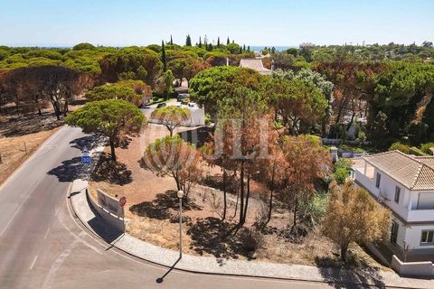 Helårsgrund i Almancil, Faro, Almancil - € 2.075.000 | Ref: 67098 - foto 22