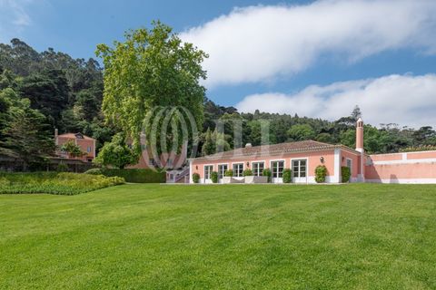 Farm i Sintra, Lisbon, Sintra - € 24.000.000 | Ref: 67057 - foto 7