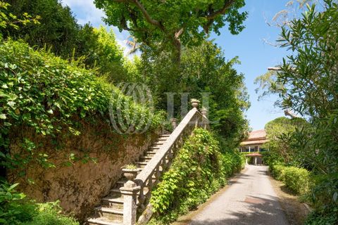 Farm i Sintra, Lisbon, Sintra - € 24.000.000 | Ref: 67057 - foto 9