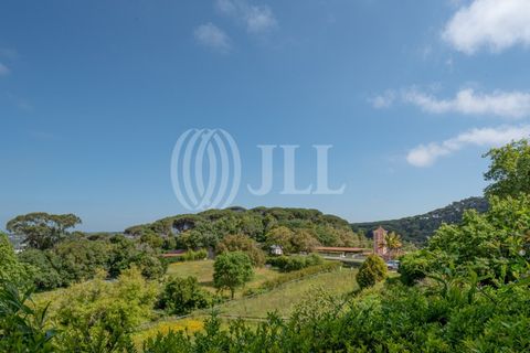 Farm i Sintra, Lisbon, Sintra - € 24.000.000 | Ref: 67057 - foto 10