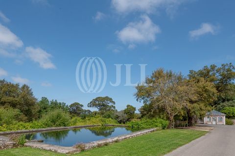 Farm i Sintra, Lisbon, Sintra - € 24.000.000 | Ref: 67057 - foto 11