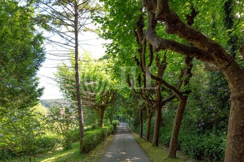 Farm i Sintra, Lisbon, Sintra - € 24.000.000 | Ref: 67057 - foto 12