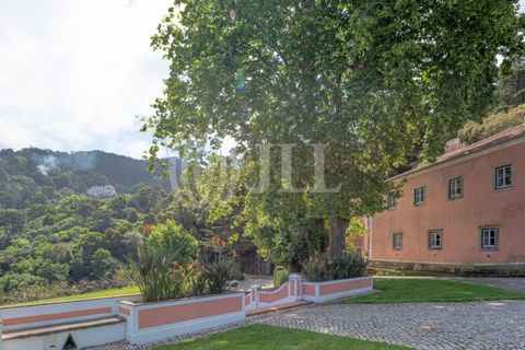 Farm i Sintra, Lisbon, Sintra - € 24.000.000 | Ref: 67057 - foto 13