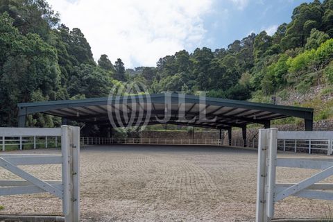 Farm i Sintra, Lisbon, Sintra - € 24.000.000 | Ref: 67057 - foto 19