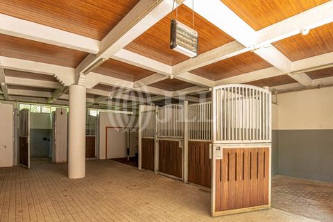 Farm i Sintra, Lisbon, Sintra - € 24.000.000 | Ref: 67057 - foto 20
