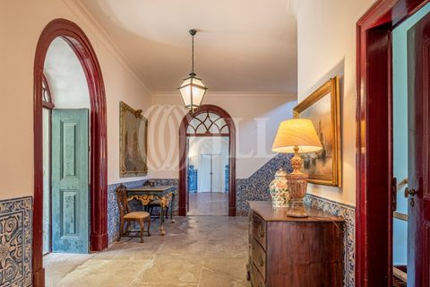 Farm i Sintra, Lisbon, Sintra - € 24.000.000 | Ref: 67057 - foto 25