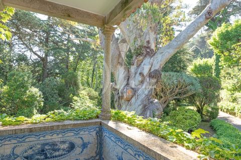 Farm i Sintra, Lisbon, Sintra - € 24.000.000 | Ref: 67057 - foto 26