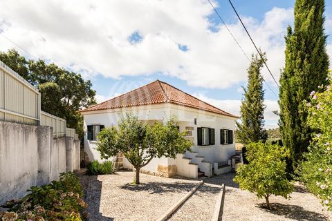 Villa i Rio Maior, Santarem, Rio Maior - € 490.000 | Ref: 65550 - foto 24
