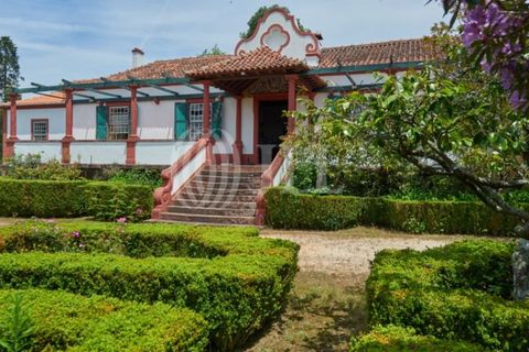 Farm i Agueda, Aveiro, Agueda - € 1.900.000 | Ref: 53892 - foto 1