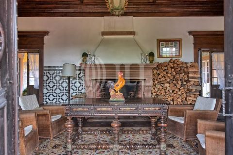 Farm i Agueda, Aveiro, Agueda - € 1.900.000 | Ref: 53892 - foto 3