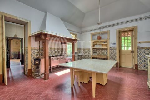 Farm i Agueda, Aveiro, Agueda - € 1.900.000 | Ref: 53892 - foto 17