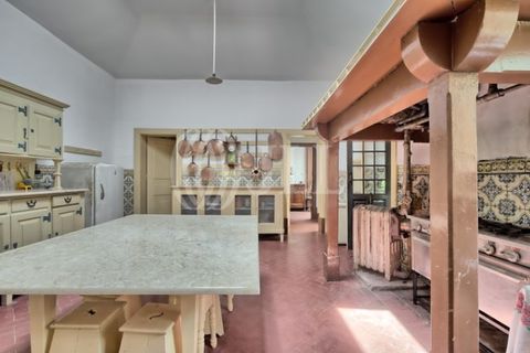 Farm i Agueda, Aveiro, Agueda - € 1.900.000 | Ref: 53892 - foto 18