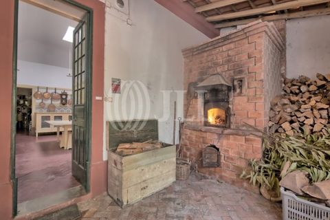 Farm i Agueda, Aveiro, Agueda - € 1.900.000 | Ref: 53892 - foto 20