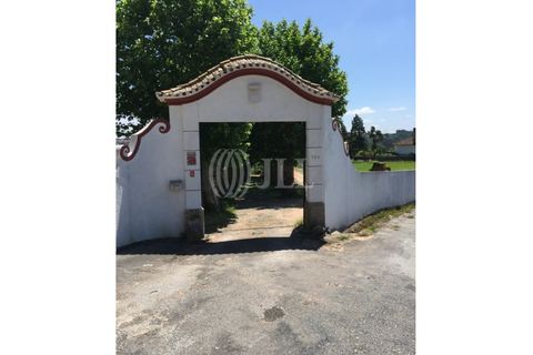Farm i Agueda, Aveiro, Agueda - € 1.900.000 | Ref: 53892 - foto 23