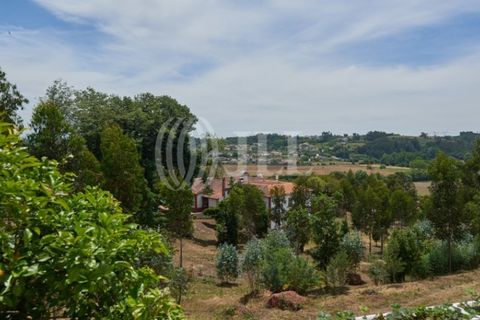 Farm i Agueda, Aveiro, Agueda - € 1.900.000 | Ref: 53892 - foto 24