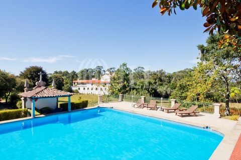Farm i Barcelos, Braga, Barcelos - € 3.150.000 | Ref: 51642 - foto 1