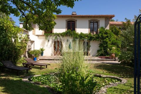 Farm i Barcelos, Braga, Barcelos - € 3.150.000 | Ref: 51642 - foto 13