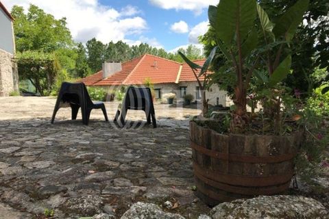 Farm i Fafe, Braga, Fafe - € 1.100.000 | Ref: 49135 - foto 10