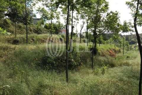 Farm i Fafe, Braga, Fafe - € 1.100.000 | Ref: 49135 - foto 27