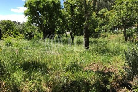 Farm i Fafe, Braga, Fafe - € 1.100.000 | Ref: 49135 - foto 31