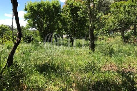 Farm i Fafe, Braga, Fafe - € 1.100.000 | Ref: 49135 - foto 32