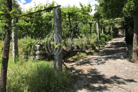 Farm i Fafe, Braga, Fafe - € 1.100.000 | Ref: 49135 - foto 34