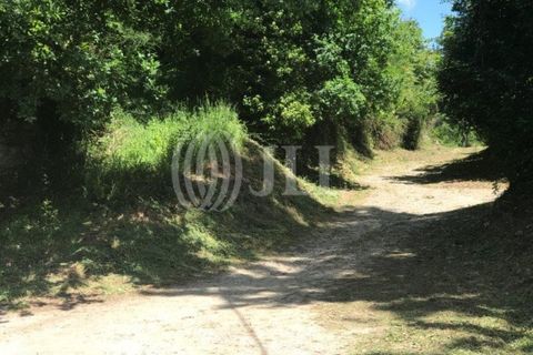 Farm i Fafe, Braga, Fafe - € 1.100.000 | Ref: 49135 - foto 36