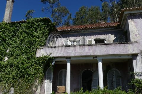 Farm i Barcelos, Braga, Barcelos - € 650.000 | Ref: 47452 - foto 1