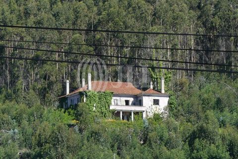 Farm i Barcelos, Braga, Barcelos - € 650.000 | Ref: 47452 - foto 2