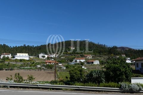 Farm i Barcelos, Braga, Barcelos - € 650.000 | Ref: 47452 - foto 4
