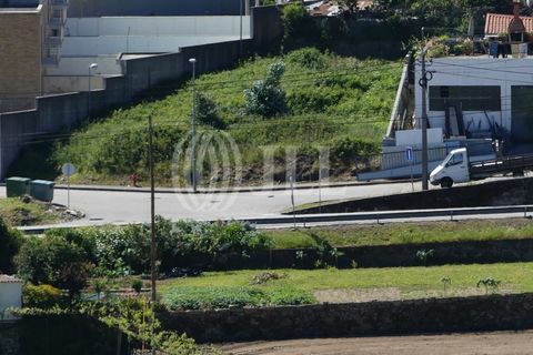 Farm i Barcelos, Braga, Barcelos - € 650.000 | Ref: 47452 - foto 5