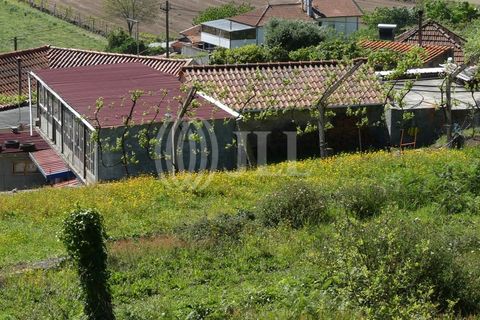 Farm i Barcelos, Braga, Barcelos - € 650.000 | Ref: 47452 - foto 6
