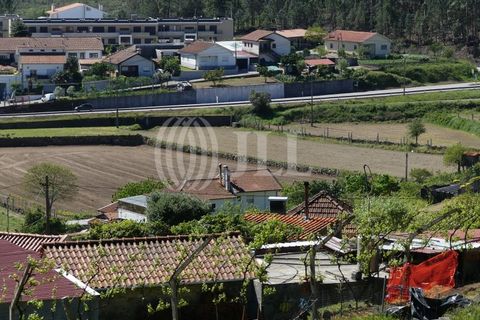 Farm i Barcelos, Braga, Barcelos - € 650.000 | Ref: 47452 - foto 7
