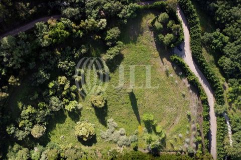 Helårsgrund i Loures, Lisbon, Loures - € 1.000.000 | Ref: 59666 - foto 2