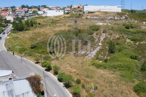 Helårsgrund i Belas, Lisbon, Belas - € 2.500.000 | Ref: 57281 - foto 4