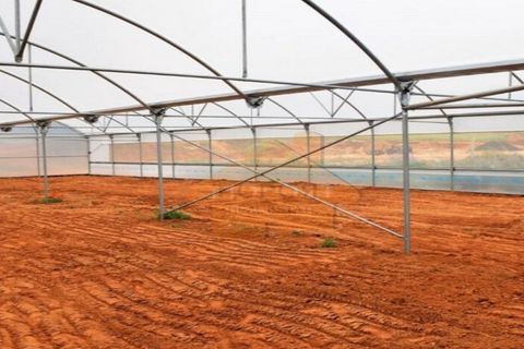Helårsgrund i Guia, Faro, Guia - € 7.500.000 | Ref: TRTU004 - foto 2