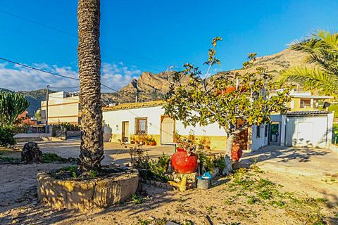 Finca i Orihuela, Alicante, Orihuela - € 249.900 | Ref: 03066JJ85 - foto 13