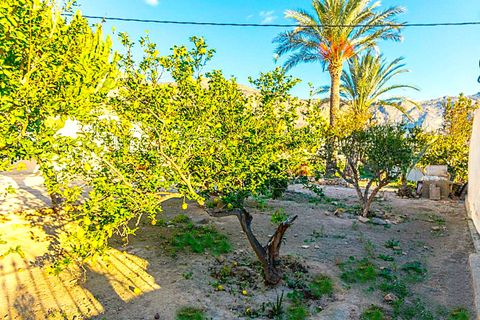 Finca i Orihuela, Alicante, Orihuela - € 249.900 | Ref: 03066JJ85 - foto 15