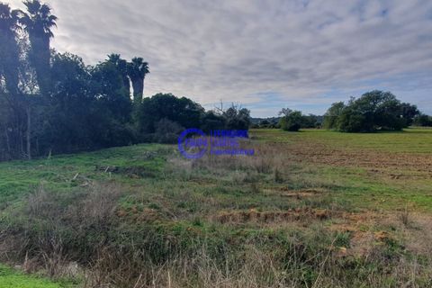 Helårsgrund i Algoz, Faro, Algoz - € 35.000 | Ref: SF012 - foto 1