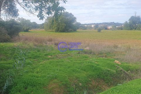 Helårsgrund i Algoz, Faro, Algoz - € 35.000 | Ref: SF012 - foto 2
