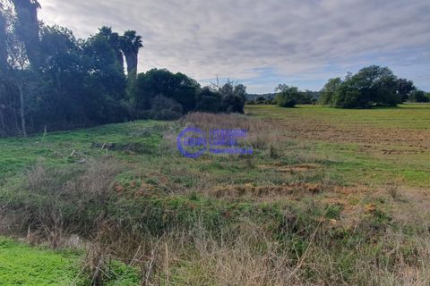 Helårsgrund i Algoz, Faro, Algoz - € 35.000 | Ref: SF012 - foto 3
