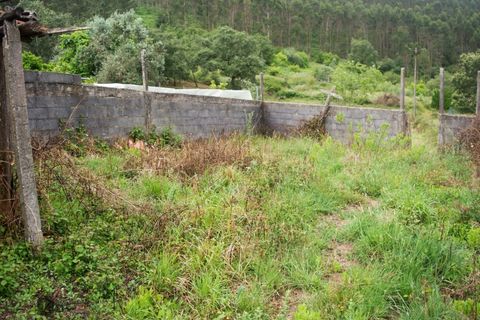 Villa i Pombal, Leiria, Pombal - € 220.000 | Ref: P601/2025 - foto 6