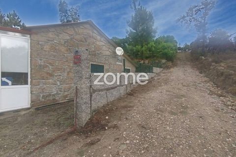 Farm i Mangualde, Viseu, Mangualde - € 178.500 | Ref: ZMPT582734 - foto 3