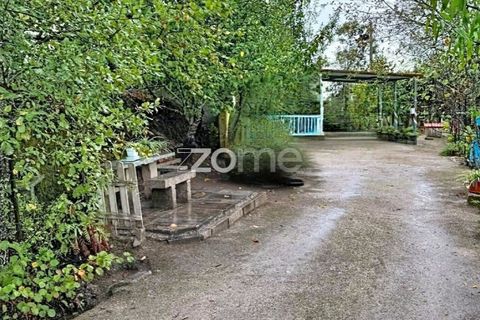 Farm i Mangualde, Viseu, Mangualde - € 178.500 | Ref: ZMPT582734 - foto 16